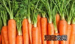 胡萝卜炖牛肉煲怎么做