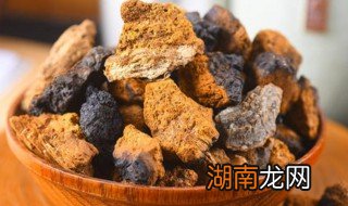 白桦茸怎么吃 白桦茸的吃法
