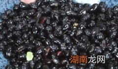 黑豆面怎么吃法 黑豆面怎么吃最好吃
