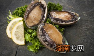 鲍鱼捞饭汁怎么做 鲍鱼捞饭汁怎么做好吃