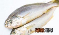 炝锅鱼怎么做 炝锅鱼怎么做法