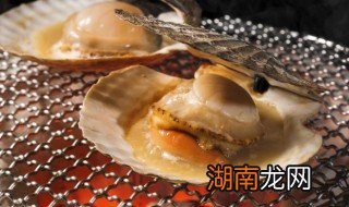扇贝肉怎么烧烤好吃 扇贝肉怎么烧