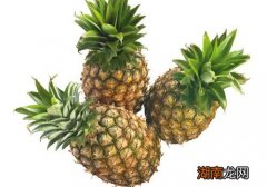 菠萝是绿色的可以吃吗 青菠萝怎么吃
