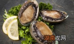 鲍鱼干的做法 鲍鱼干怎么做