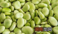 蚕豆怎么烧 蚕豆怎么烧不黑