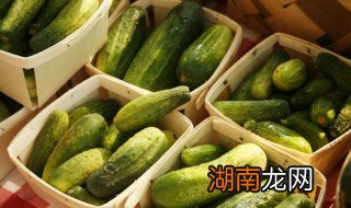 老黄瓜凉菜怎么做好吃又简单 老黄瓜凉菜怎么做好吃