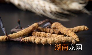 冬虫夏草怎么吃最好吸收 冬虫夏草怎么吃更有营养