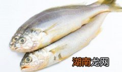 盐焗鱼的做法 盐焗鱼的制作方法