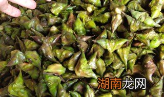 凌角怎么做好吃 凌角怎么炒着吃