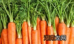 胡萝卜怎么炒好吃步骤