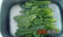 菠菜蘸酱如何做 菠菜蘸酱做法介绍