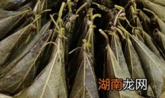 桐子叶粑粑的做法 关于桐子叶粑粑的做法