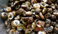 红里螺怎么做好吃 红里螺怎么做好吃视频