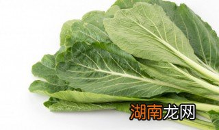 清炒无丝芥菜 清炒无丝芥菜怎么做