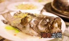 石斑鱼怎么吃 石斑鱼怎么吃怎么做