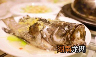 石斑鱼怎么吃 石斑鱼怎么吃怎么做
