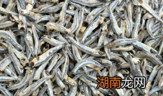 海蜒干的营养及功效 海蜒干怎么做好吃法