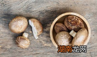 香菇要煮多久 香菇要煮多长时间