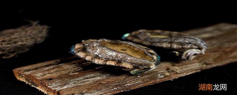 鲍鱼是发物吗 术后可以吃鲍鱼吗