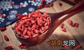 苟其子怎么吃效果最好 苟其的功效与作用