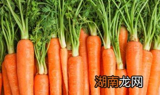 炸胡萝卜素丸子做法窍门