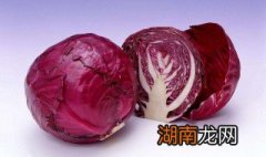 芥末拌紫甘蓝 芥末拌甘蓝的做法窍门