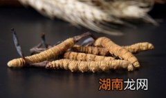 冬虫夏草如何食用方法 食用冬虫夏草的方法介绍