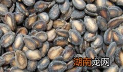 正宗奶油瓜子制作方法窍门 奶油瓜子的功效与作用