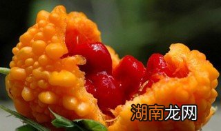 赖葡萄怎么吃 赖葡萄图片大全