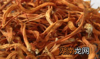 北虫草怎么吃最好视频 北虫草怎么吃最好