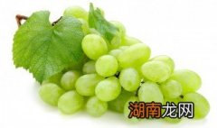 葡萄怎么挑选好吃的品种 葡萄怎么挑选好吃的