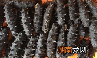 海参如何做汤好吃 怎么做简单好喝