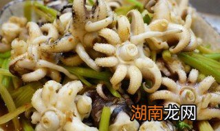 墨斗鱼如何做 氽墨斗鱼花