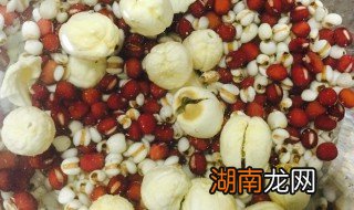 莲子薏米可以和牛奶一起煮吗 莲子薏米牛肉汤