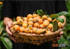 血糖高可以吃枇杷吗 血糖高吃什么水果好