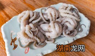 章鱼炖肉 章鱼烩瘦肉