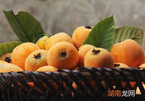 枇杷能多吃吗 枇杷吃多了会上火吗