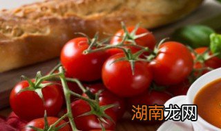 茄汁白鱼教程 茄汁白鱼教程简述