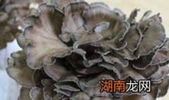 灰树花炒前要焯水吗 素炒灰树花的做法