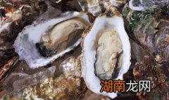 牡蛎腌制方法 牡蛎腌制方法简单介绍