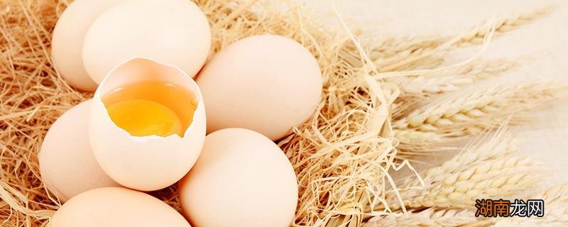 鸡蛋和洋葱可以一起吃吗 鸡蛋和洋葱一起吃有什么好处