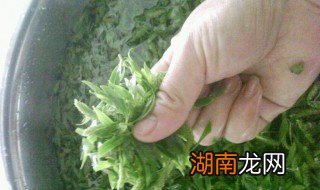 柳叶怎么吃才好 柳叶怎么吃好吃