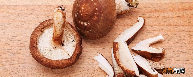 香菇发霉还能吃吗 如何防止鲜香菇发霉