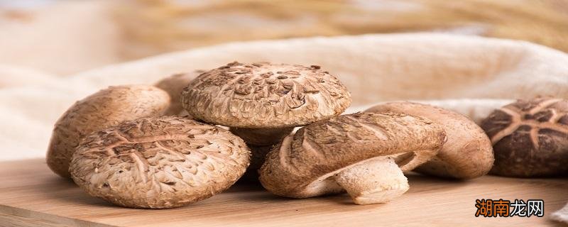 新鲜的菌菇常温怎么保存 菌菇放冰箱能不能吃