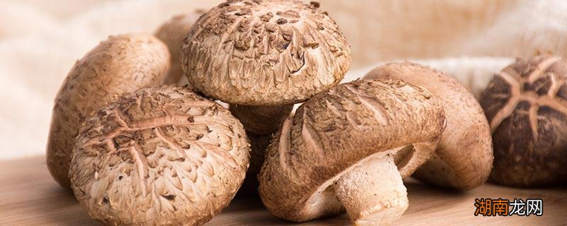 干香菇和鲜香菇哪个好 干香菇怎么吃效果好