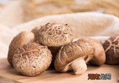 香菇变黑了还能吃吗 新鲜香菇有酸味是什么原因