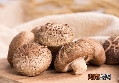 干香菇泡一夜还能吃吗 干香菇怎么泡发最快