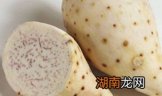 修仁薯莨是什么东西 修仁薯莨是什么