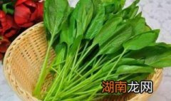 什么蔬菜含有草酸和植酸较多 什么蔬菜含有草酸