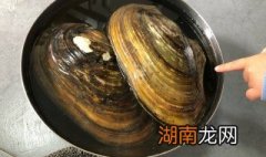 河蚌的吃法技巧 河蚌的吃法技巧视频